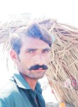 akhtar uttra, 24 года, فیصل آباد