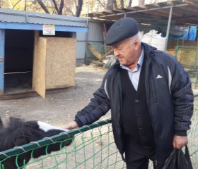 Владимир, 70 лет, Новосибирск