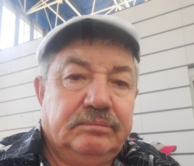 Николай, 64 года, Жигулевск