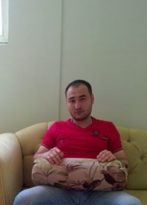 bek, 38, Türkmenistan, Gowurdak
