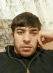 Тамерлан, 39 лет, Москва