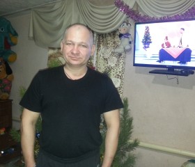 владимир, 49 лет, Ребриха