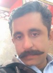 Qasim  Bhatti, 36 лет, کوٹلی‎
