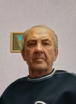 Александр, 72 года, Сызрань