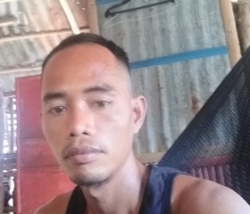 Belliard aguirre, 37 лет, Roxas City