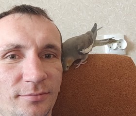 Denis, 35 лет, Чамзинка