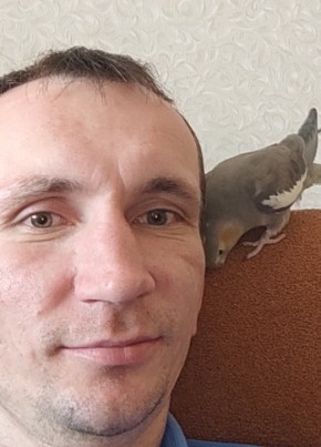 Denis, 35, Россия, Чамзинка
