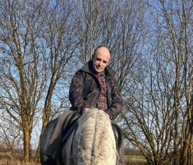 Aleksandr, 49, Vitebsk