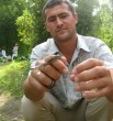Вовентий