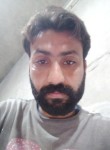 Sahil Rajput, 28 лет, سیالکوٹ