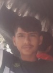 Prince pal, 18 лет, Jalandhar