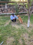 Шам - Тайшет