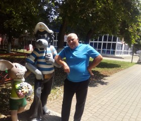 Sergey, 70, Mikhaylovsk (Stavropol)