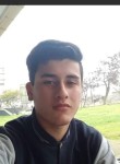Nacho, 20 лет, Santiago de Chile