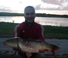 Dimitri, 40, Dusseldorf