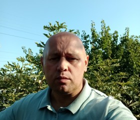 Сергей, 47 лет, Москва