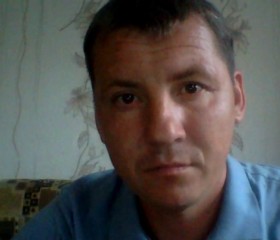 ринат, 47 лет, Димитровград