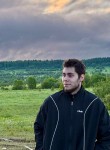 Sergey, 19, Novosibirsk