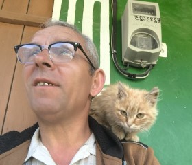 Greg, 57, Iasi
