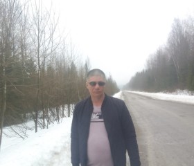 Николай Козырев, 49 лет, Лысьва