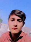 Qamar, 19 лет, ضلع منڈی بہاؤالدین