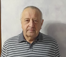 Василий, 65 лет, Самара