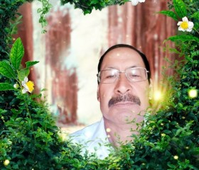 Aseshwar sahi, 59 лет, Ranchi
