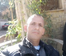 مصطفي, 49, Al Fayyum