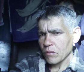 Roman, 45 лет, Кызыл