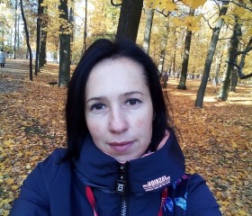 Елена, 41 год, Вологда