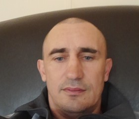 Дмитрий, 44 года, Свободный