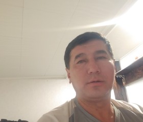 Санжар, 42 года, Курск