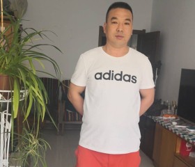 Dong, 53 года, 哈尔滨