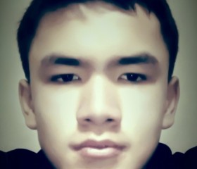 Тимур, 18 лет, Toshkent