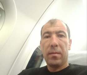 Zafar, 40, Svetlogorsk