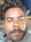 Bcvxg, 29 лет, Muzaffarpur