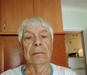 Василий, 79 лет, Мелітополь