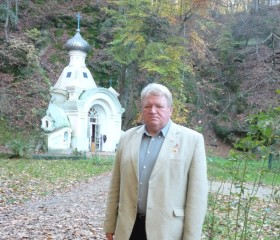 Михаил, 71 год, Краснодар