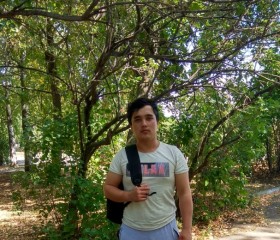 Дмитрий, 28 лет, Барыш