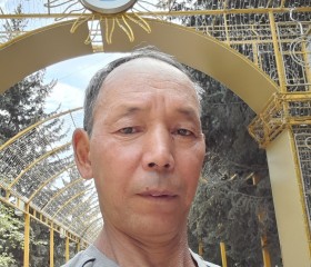 Berik, 54 года, Көкшетау
