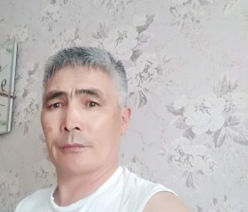Данияр, 51 год, Челябинск