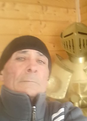 Lev Tigr