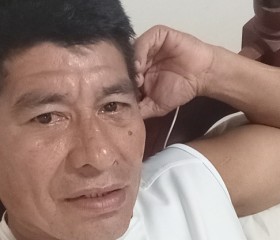Manuel, 52 года, Posadas