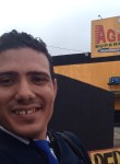 Willian, 29 лет, Campo Largo