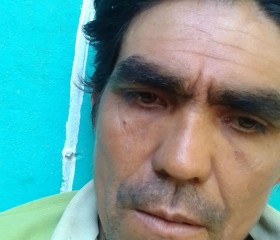 Guzman, 42 года, San Salvador