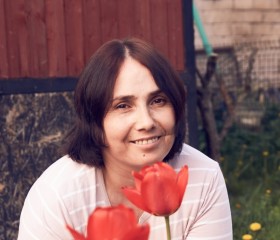 Анна, 40 лет, Великий Новгород