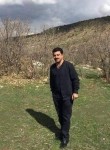 jut zaxoyi, 50  , As Sulaymaniyah