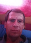 Dima, 34, Kanevskaya