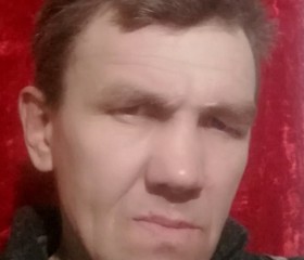Дмитрий, 46 лет, Крапивинский