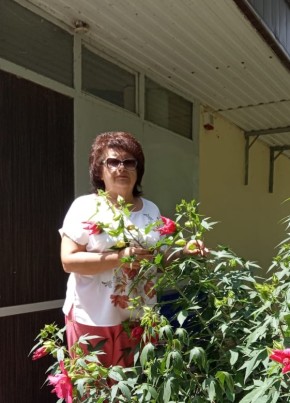 Арина, 66, Россия, Армавир